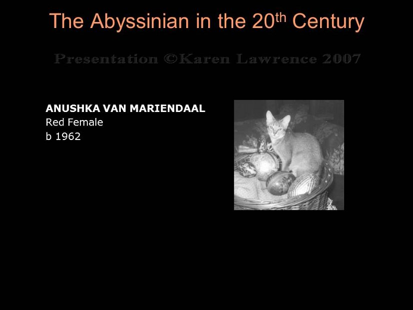 Slide130