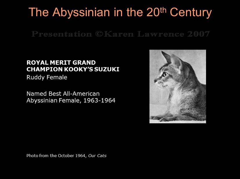 Slide131