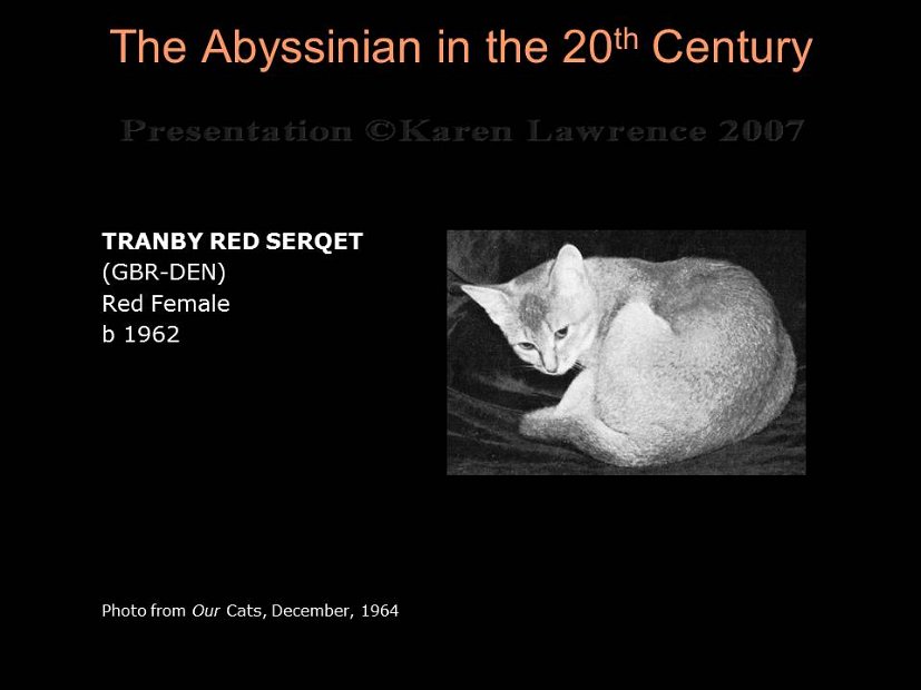Slide132