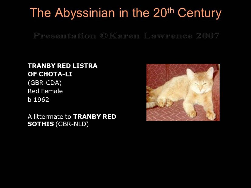 Slide134