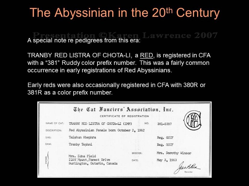Slide135