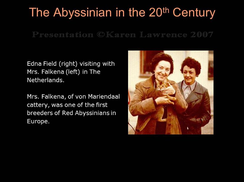 Slide136