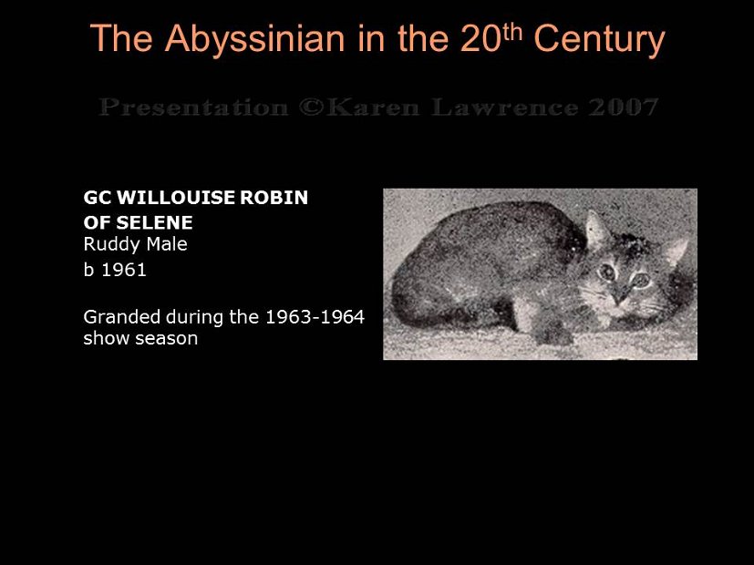 Slide139