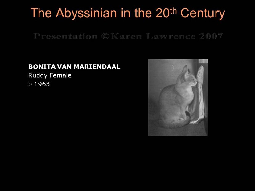 Slide143