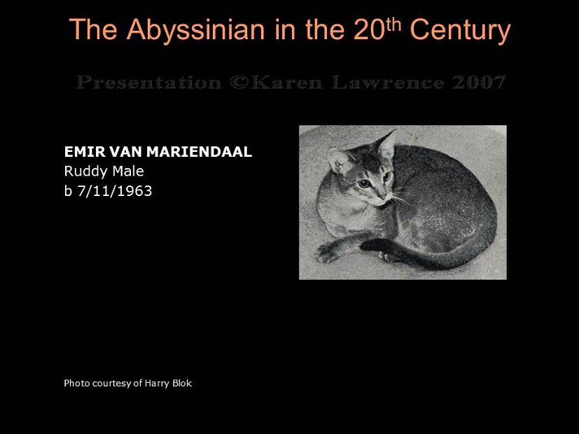 Slide144