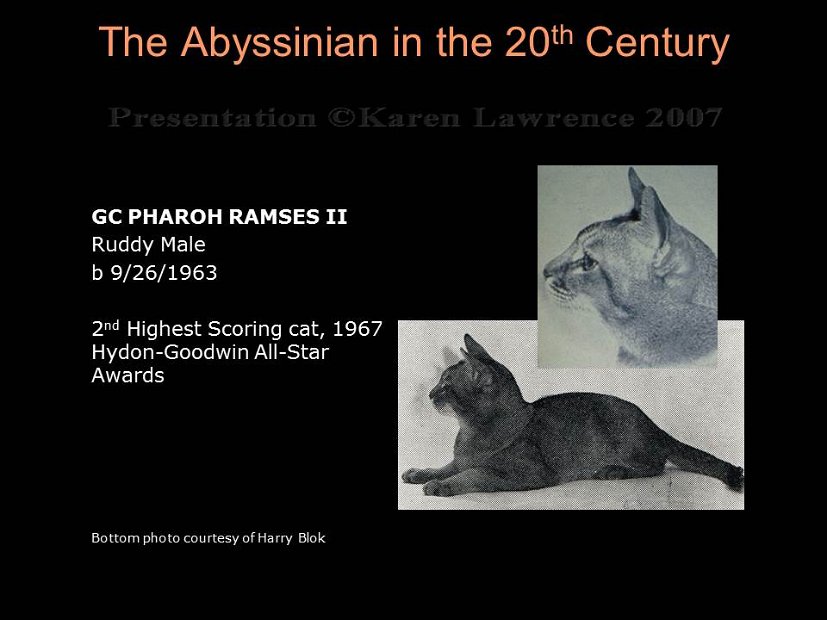 Slide145