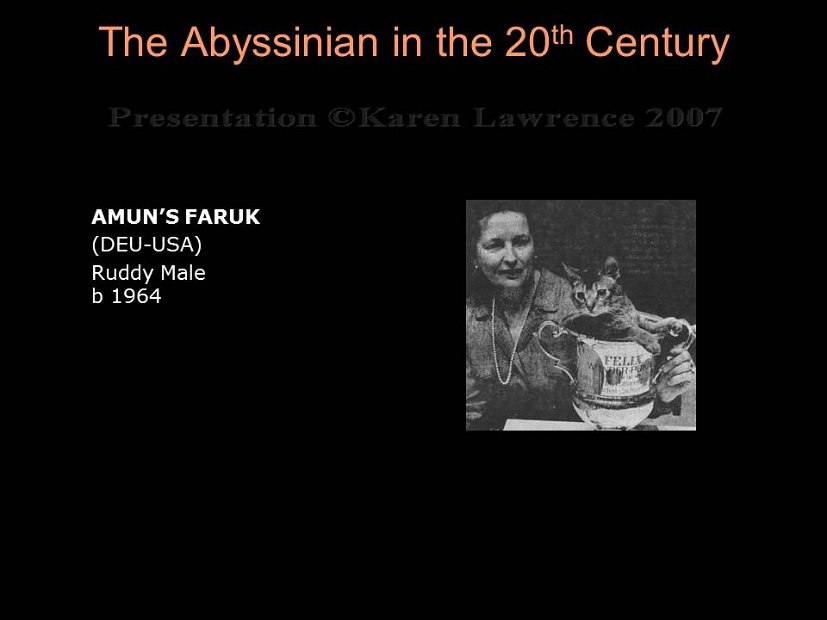 Slide146