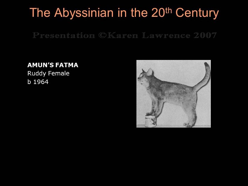 Slide147