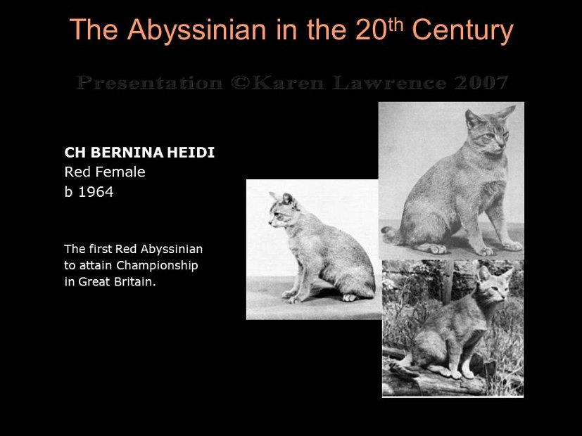 Slide150