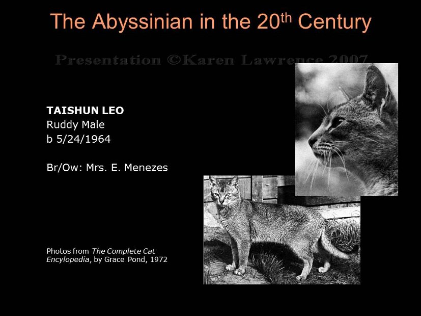 Slide153