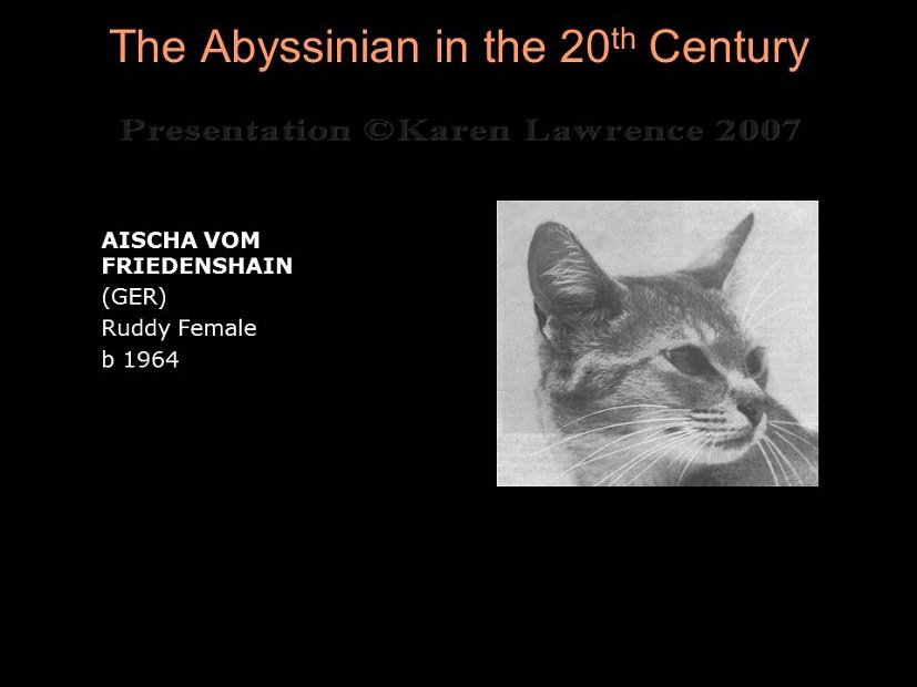 Slide154