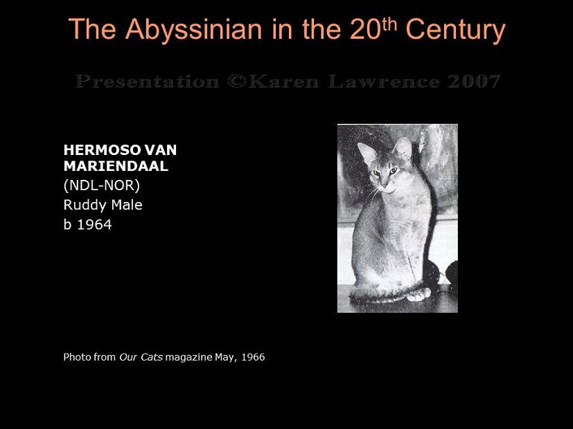 Slide155