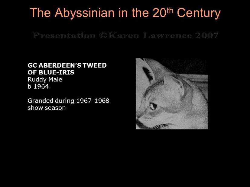 Slide156