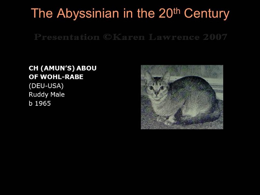 Slide158