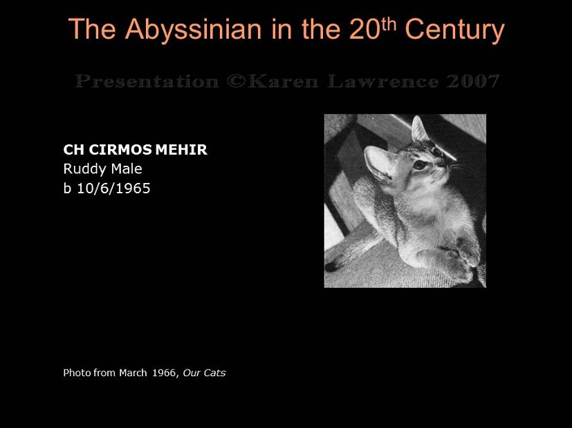 Slide159