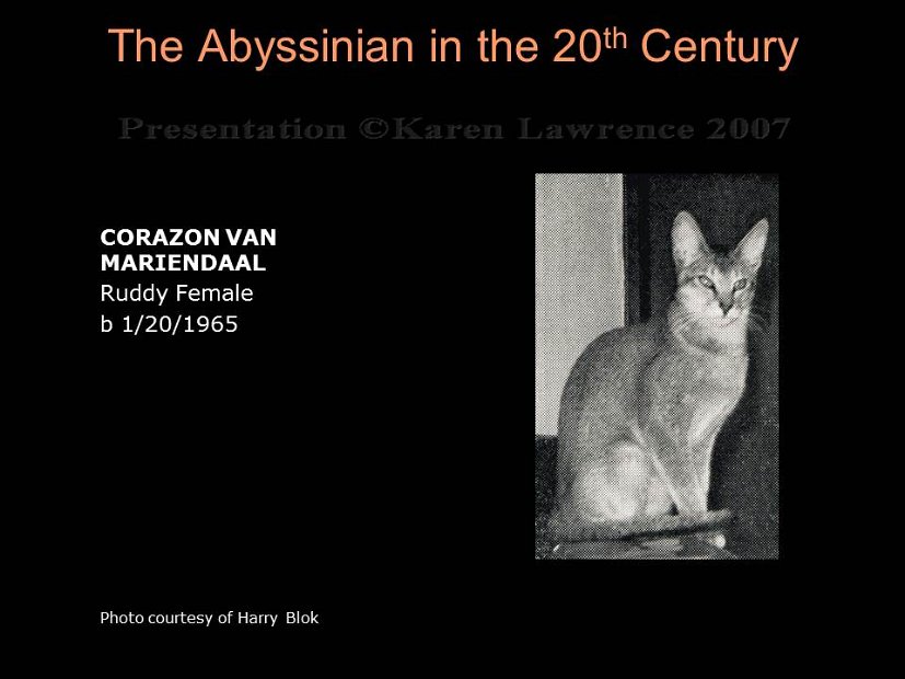 Slide160