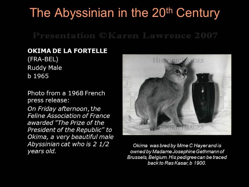 Slide161