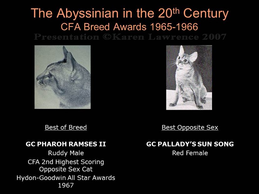 Slide162