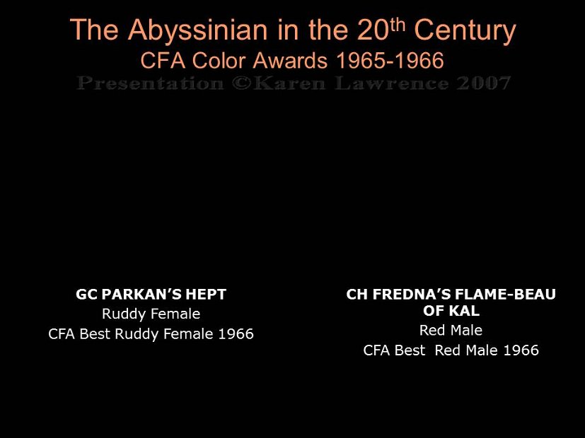 Slide163