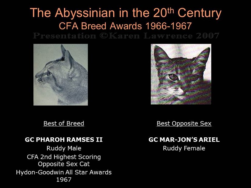 Slide164