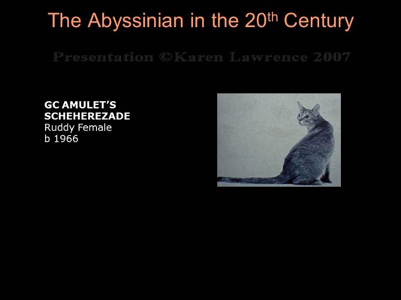 Slide165