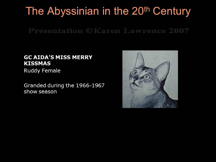 Slide166