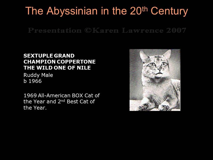 Slide167
