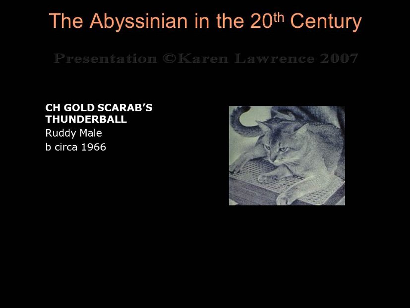 Slide169