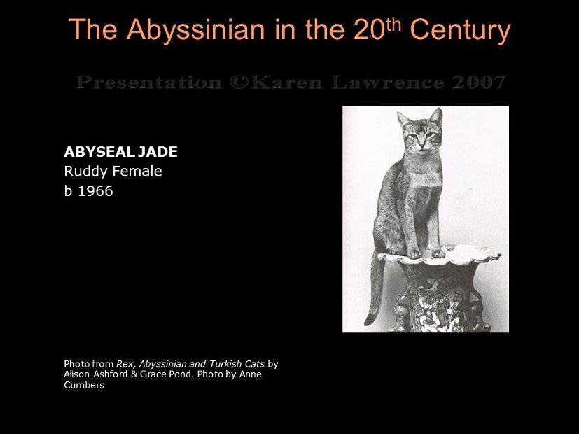 Slide170