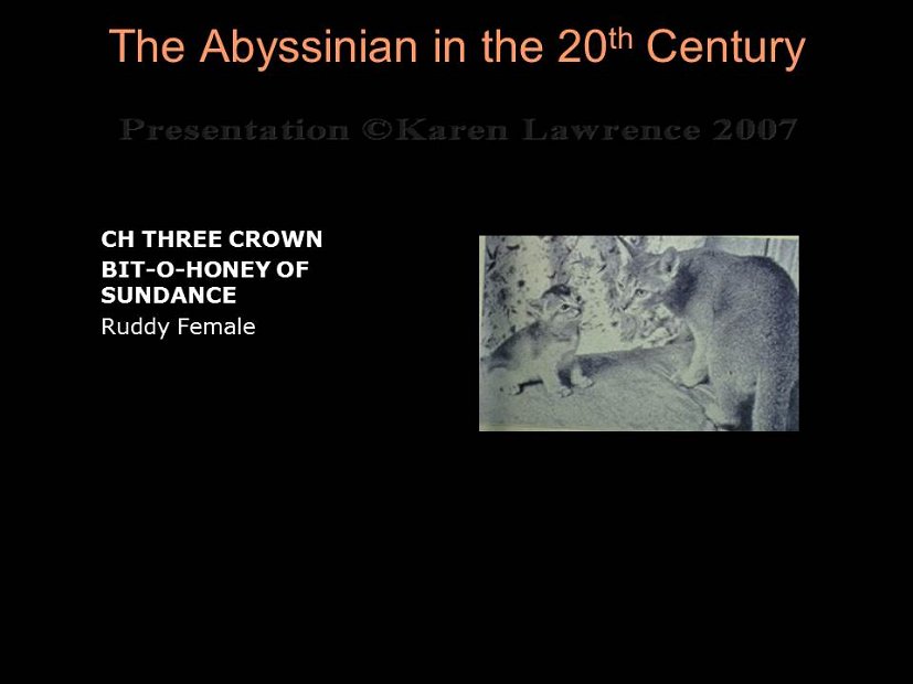 Slide172