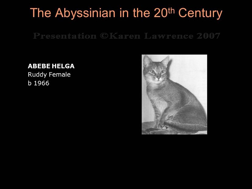 Slide173
