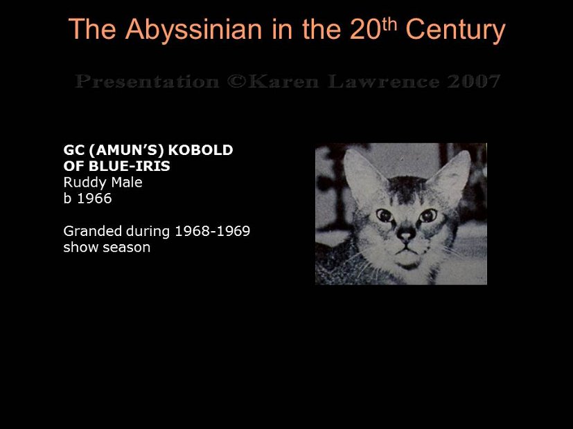 Slide174