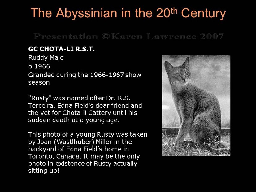 Slide175