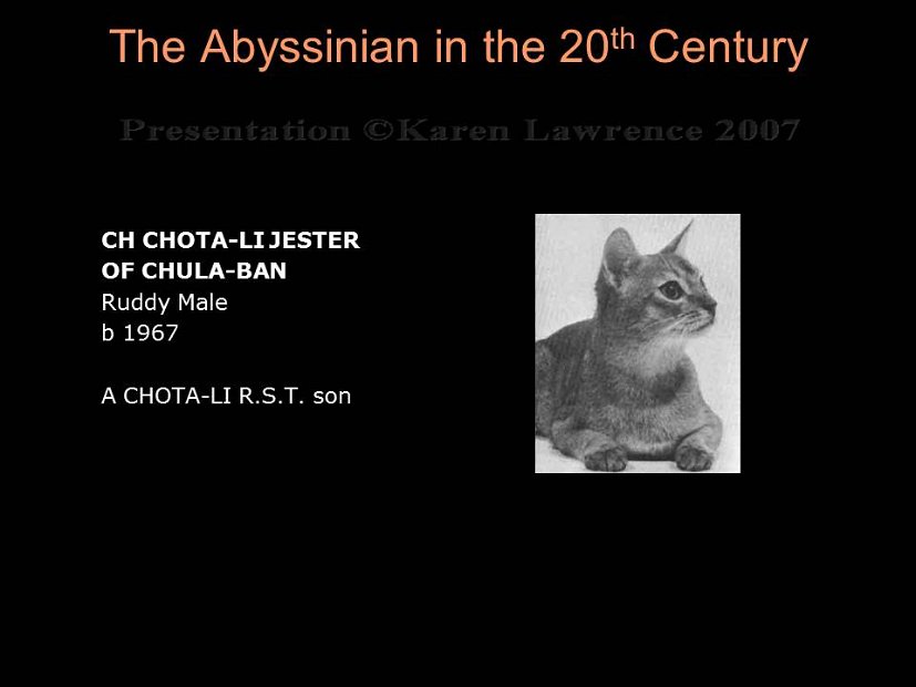 Slide177