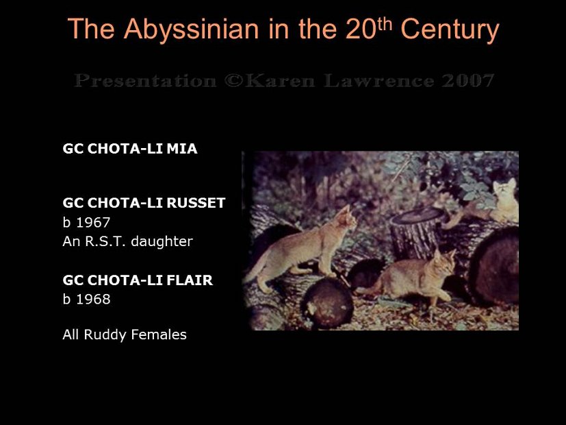 Slide178