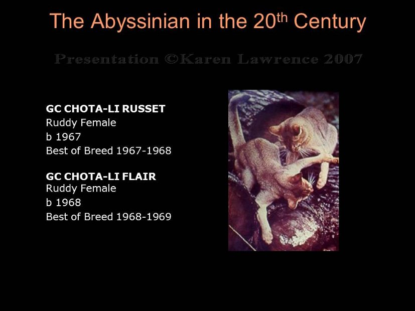 Slide179