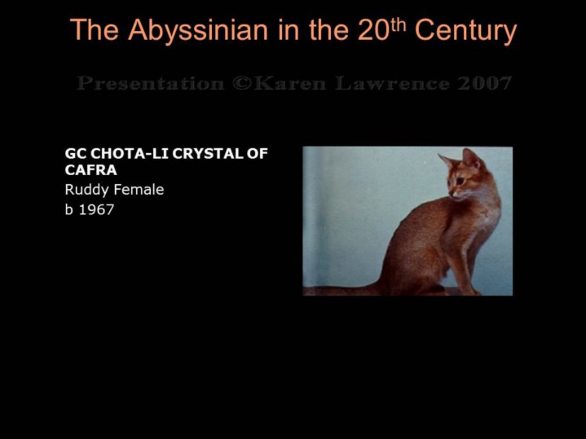 Slide180