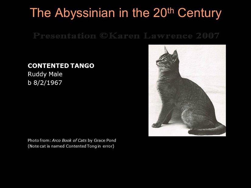 Slide182