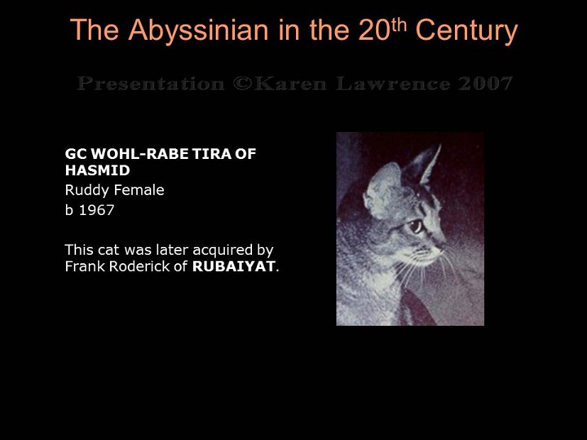 Slide183