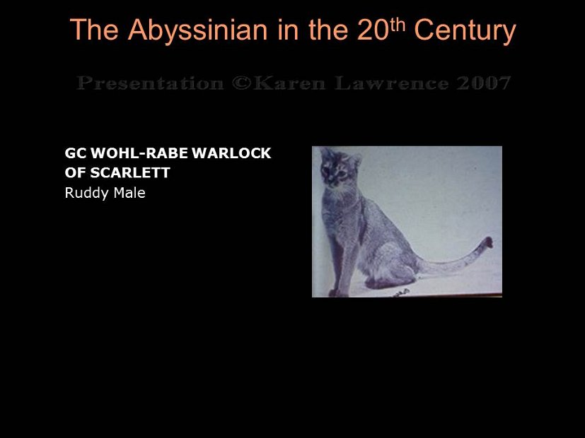Slide184
