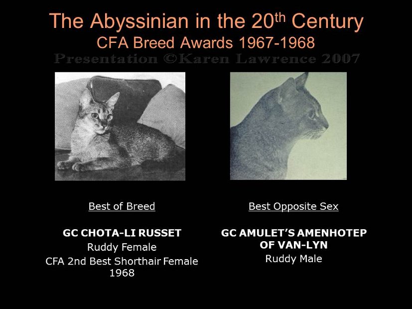Slide185