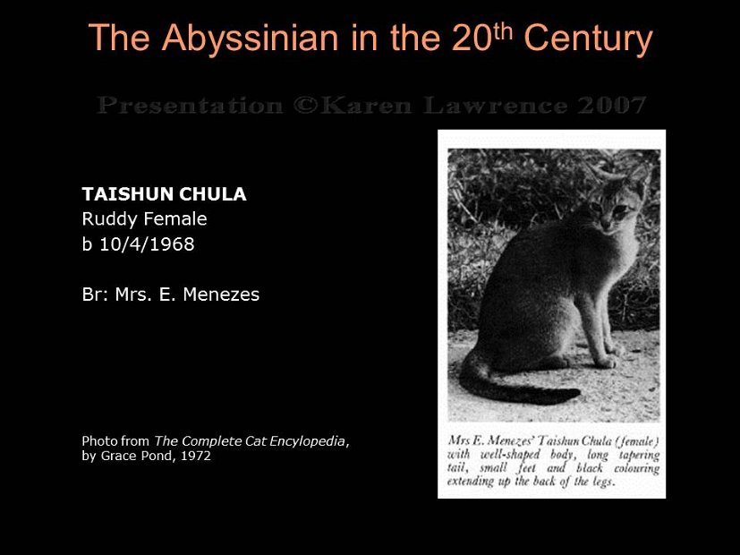 Slide187