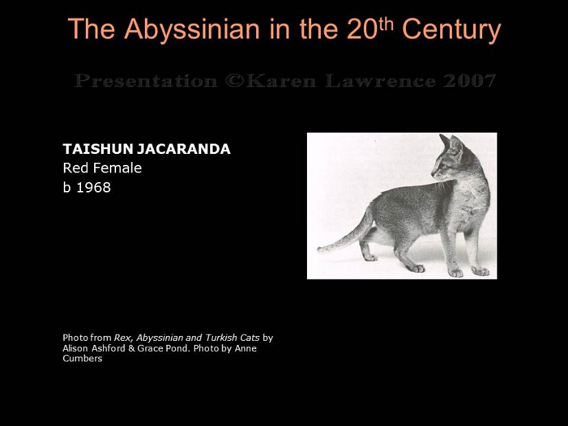 Slide189