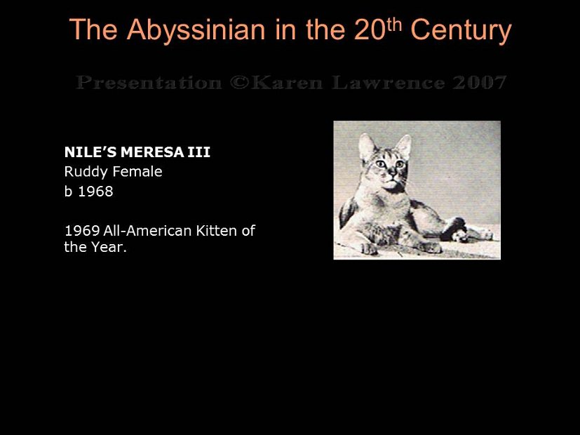 Slide190