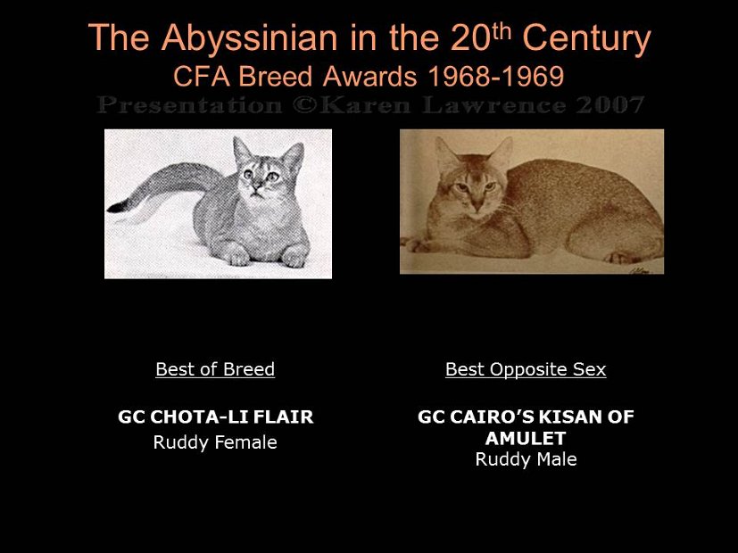 Slide191