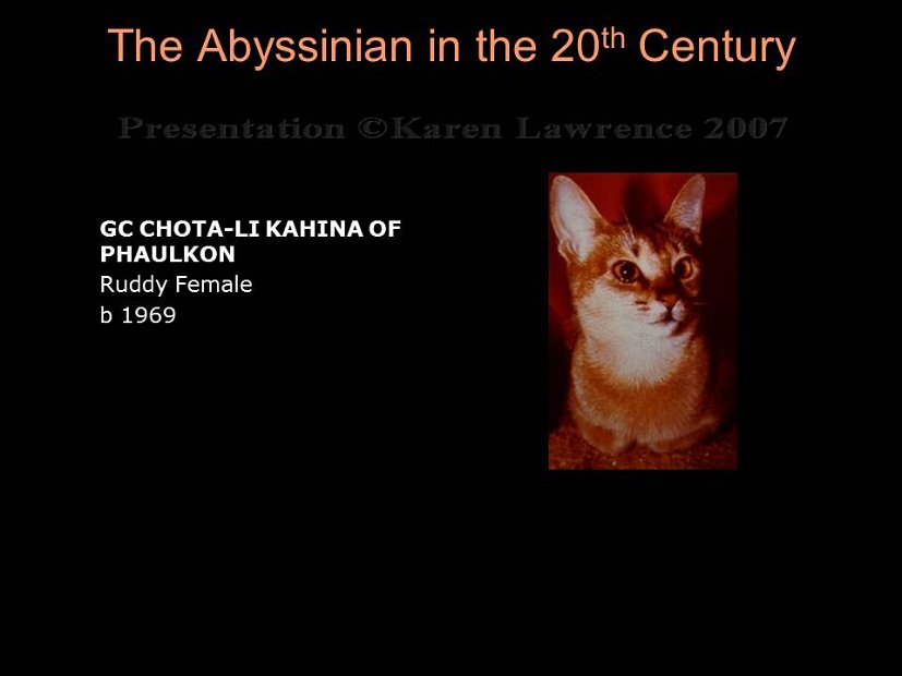 Slide192