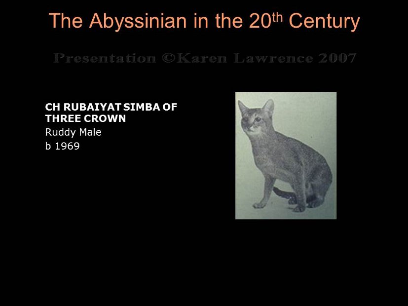 Slide193