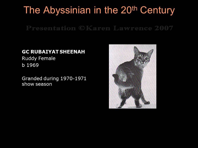 Slide194