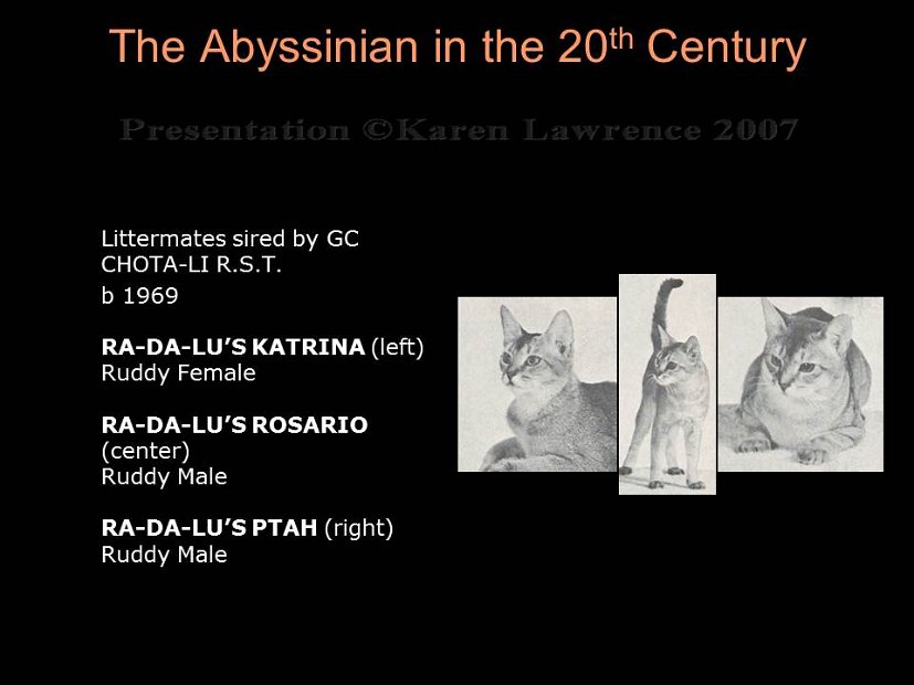 Slide195
