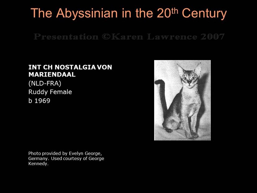 Slide196